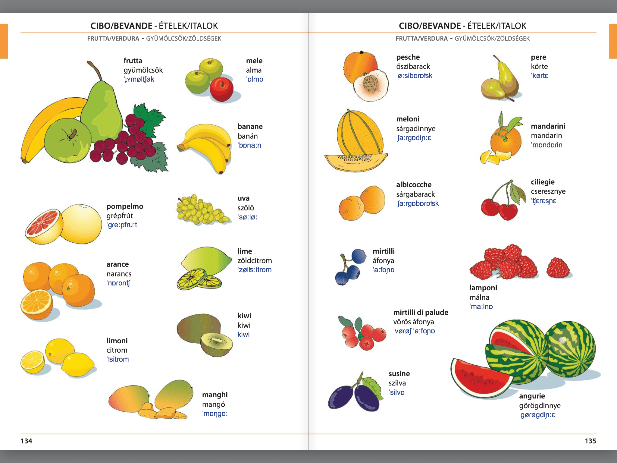 Manuale di conversazione illustrato Italiano-Ungherese